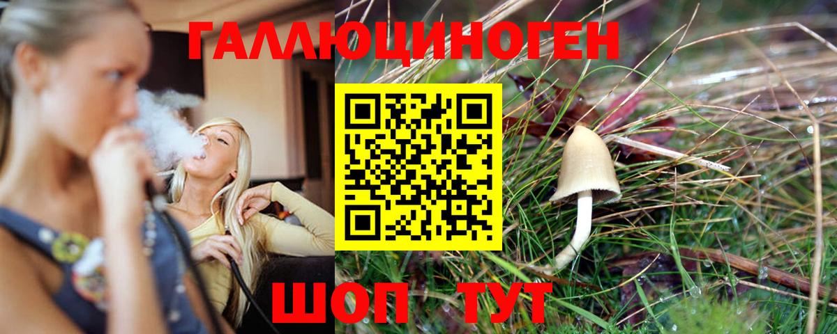 Лосино-Петровский  Галлюциногенные грибы Psilocybine cubensis  магазин продажи   Вход с VPN 