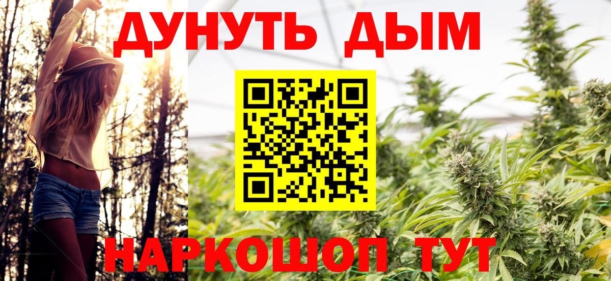 Канабис тримм  Каннабис план  МАРИХУАНА план  Лосино-Петровский  Вход с VPN  Канабис THC 21% 
